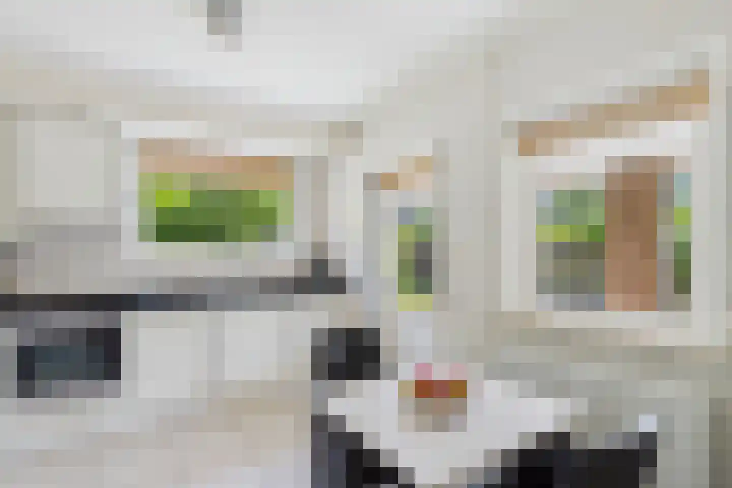 Elzenstraat 30 Vogelwaarde thumbnail 17