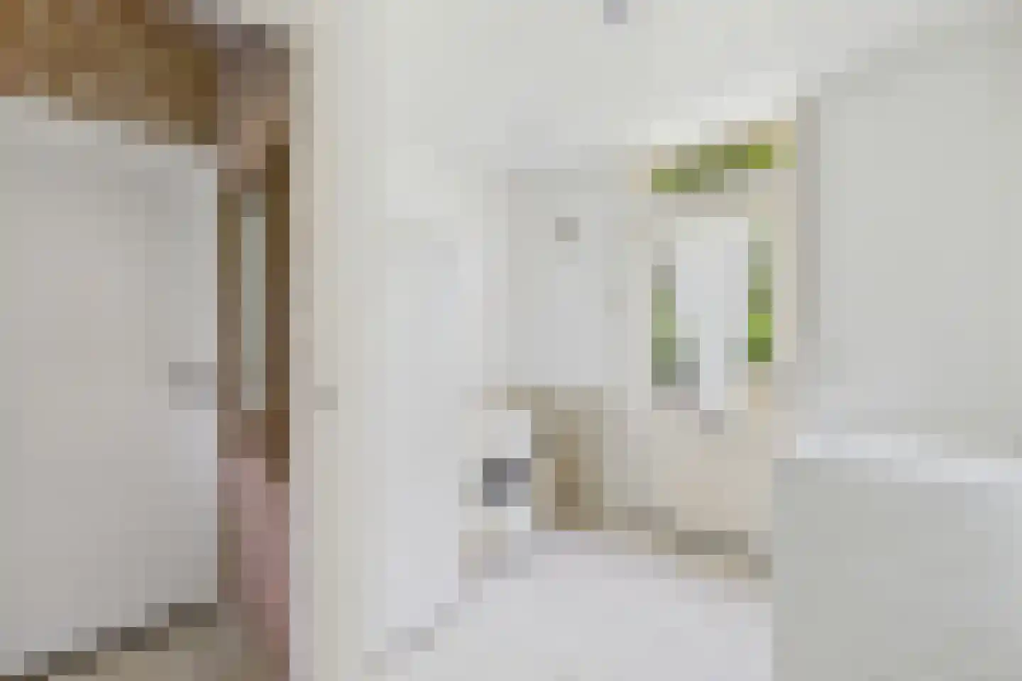 Elzenstraat 30 Vogelwaarde thumbnail 19