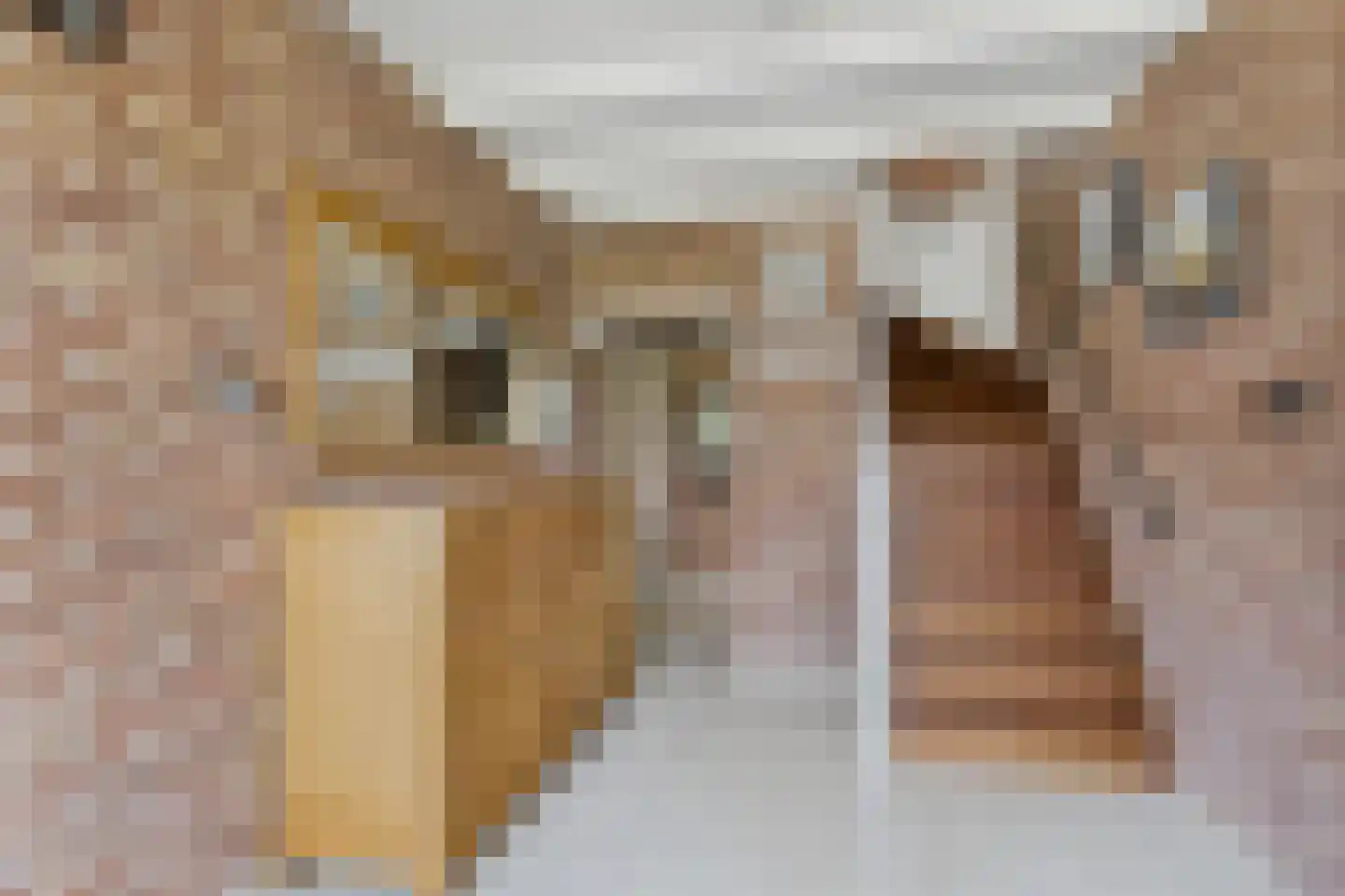Elzenstraat 30 Vogelwaarde thumbnail 8