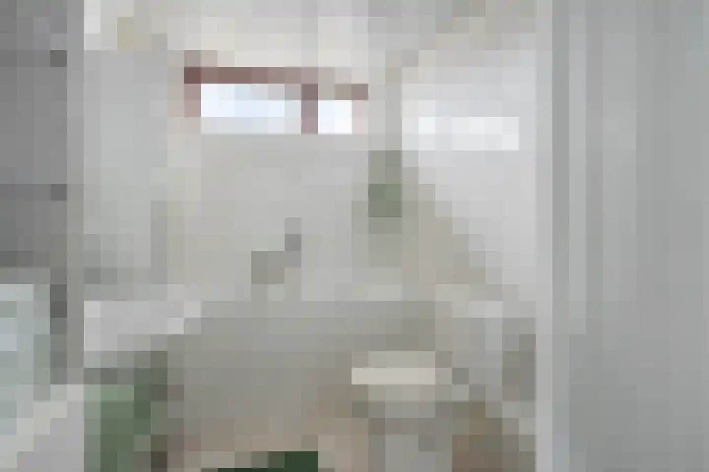 Elzenstraat 33 Brakel thumbnail 24