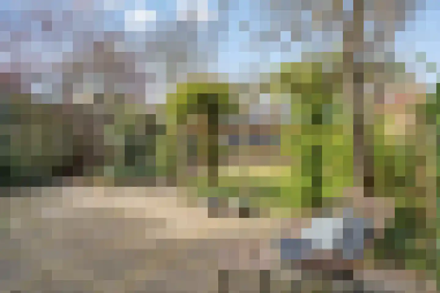Elzenstraat 33 Brakel thumbnail 28