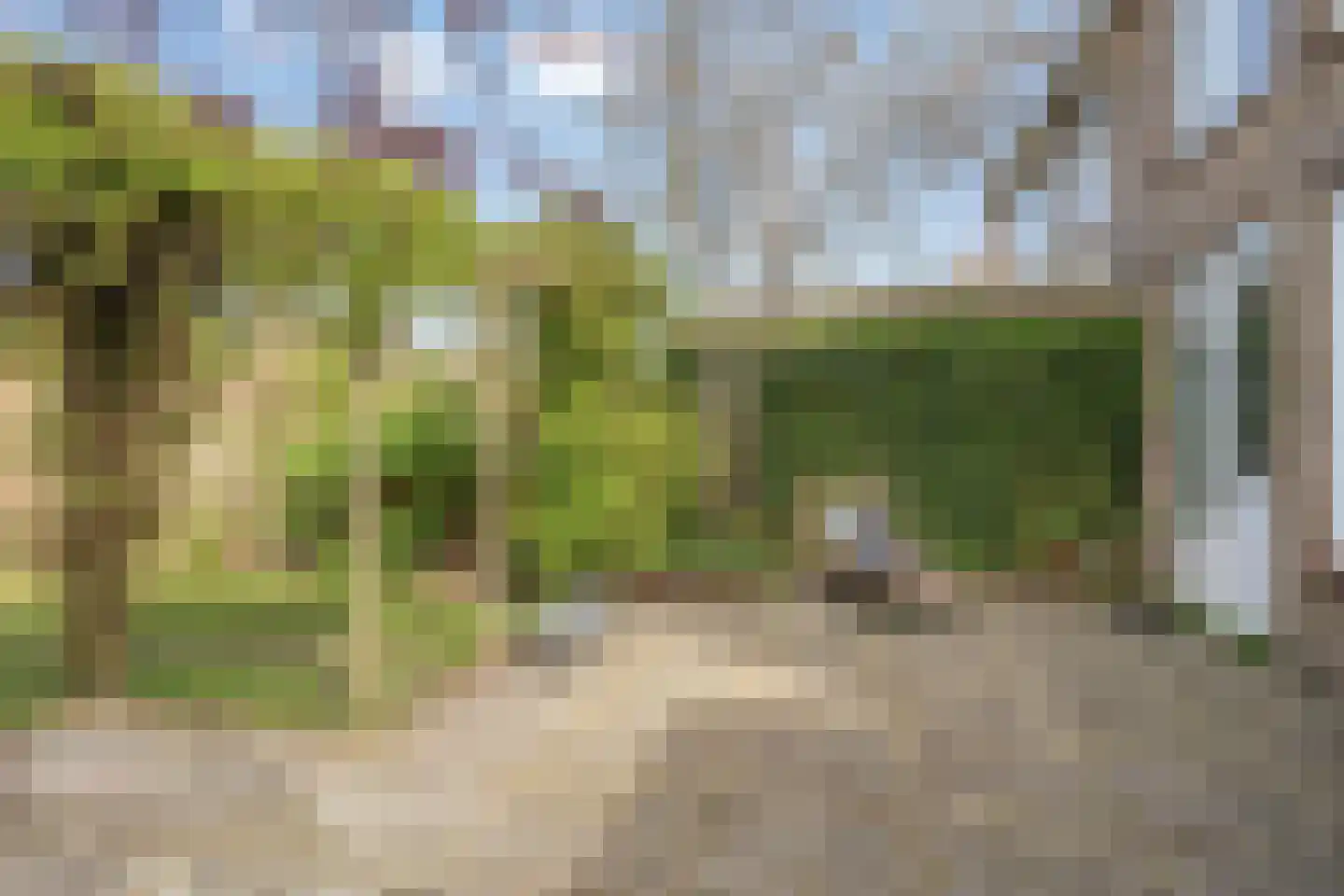 Elzenstraat 33 Brakel thumbnail 29
