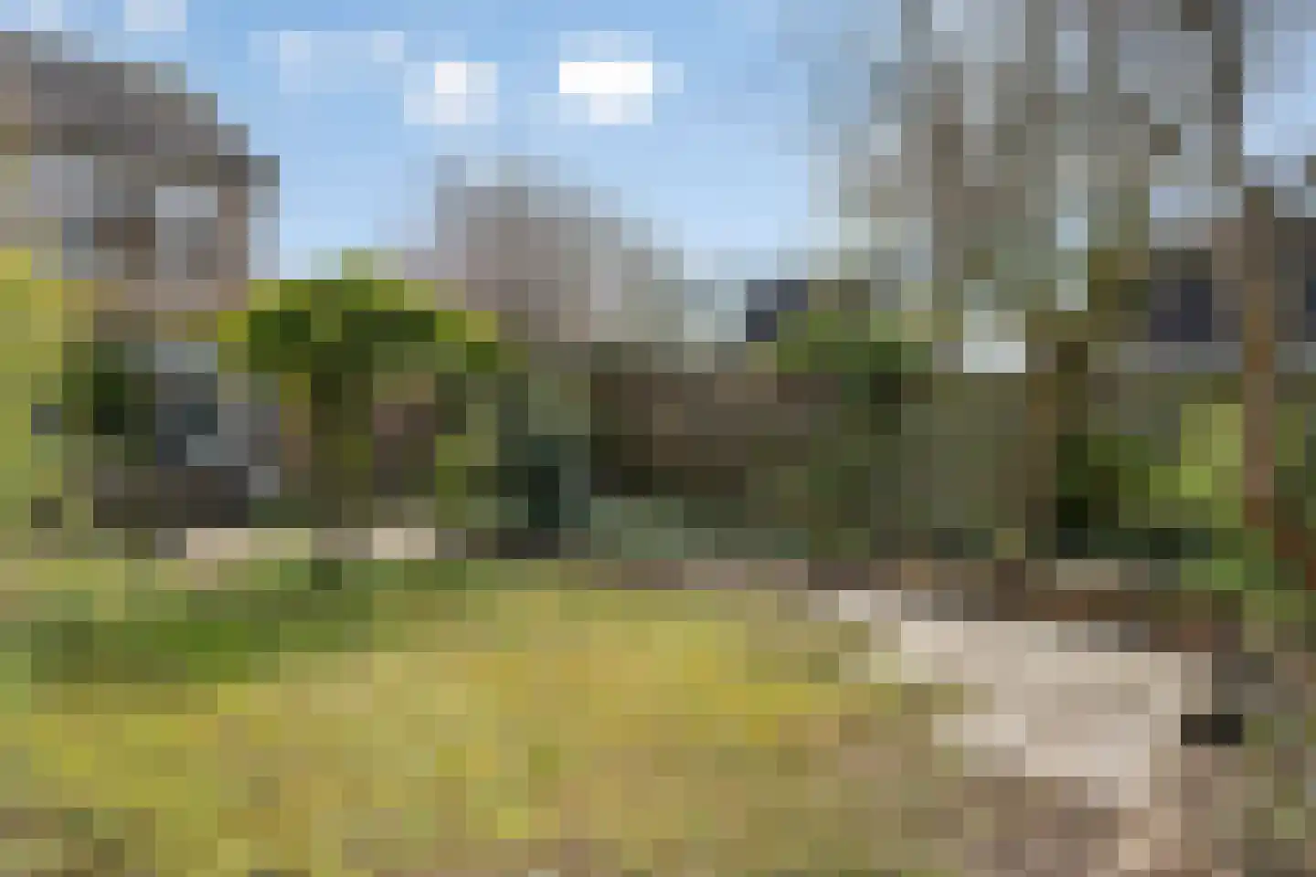 Elzenstraat 33 Brakel thumbnail 31