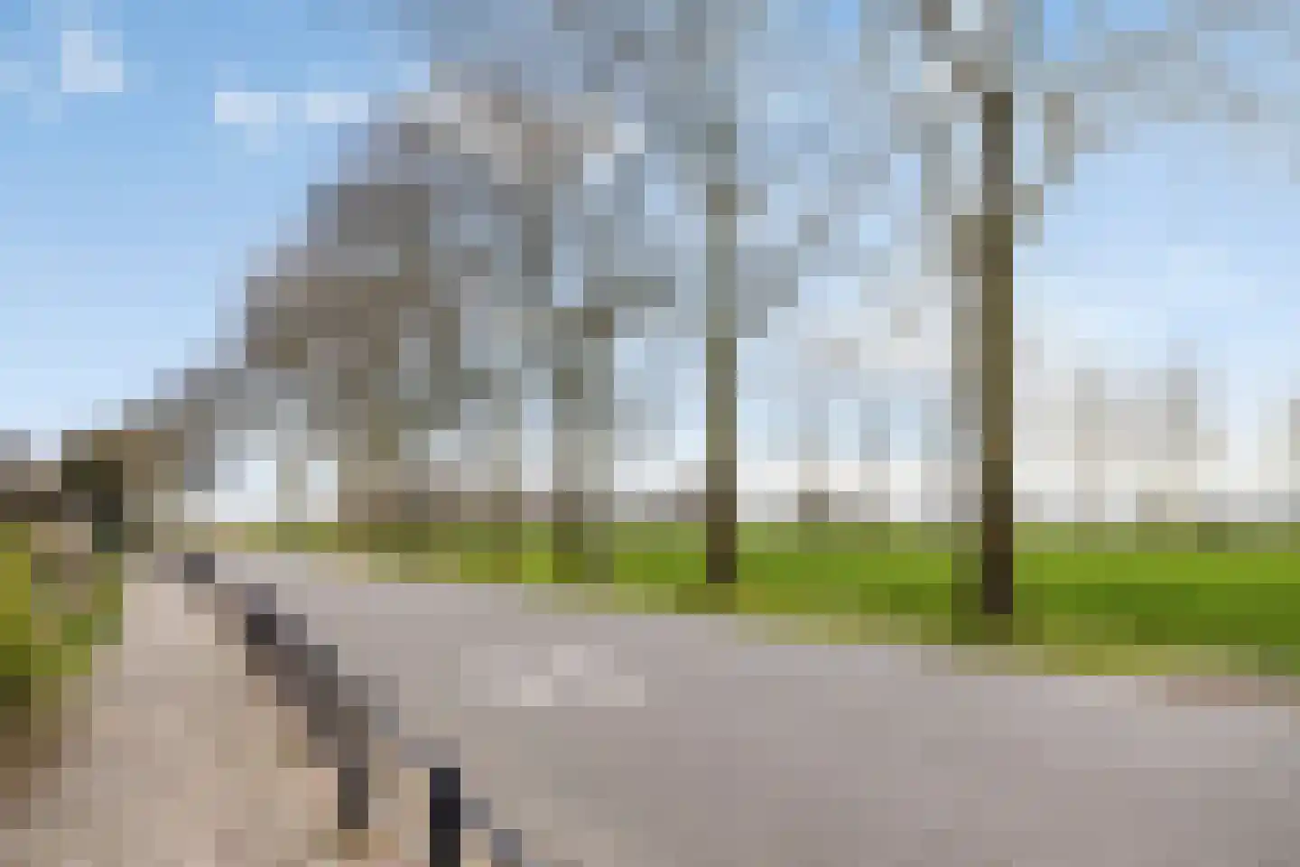 Elzenstraat 33 Brakel thumbnail 32