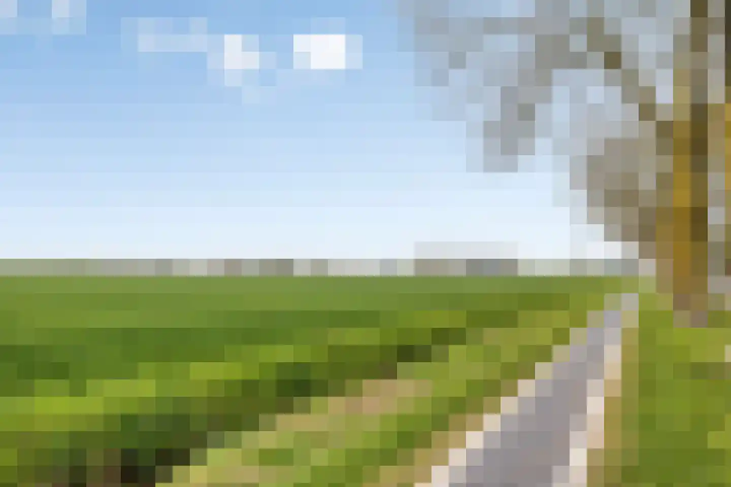 Elzenstraat 33 Brakel thumbnail 33