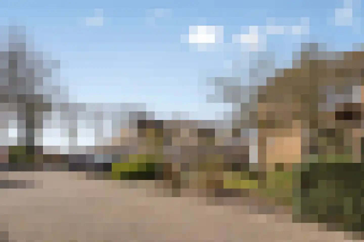 Elzenstraat 33 Brakel thumbnail 4