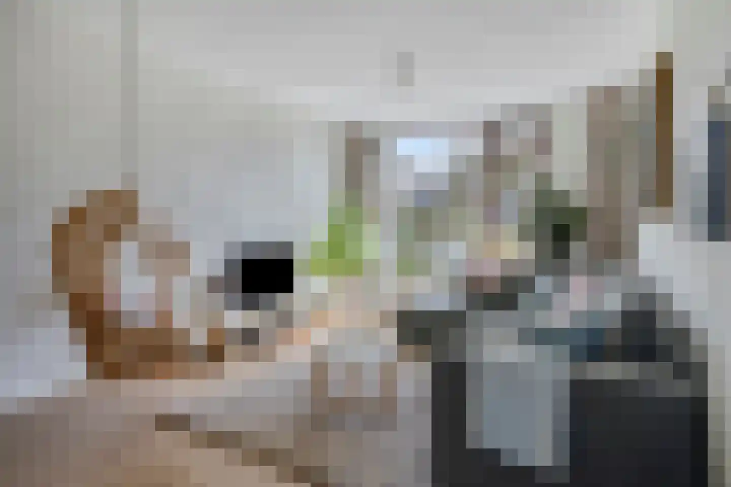 Elzenstraat 33 Brakel thumbnail 6