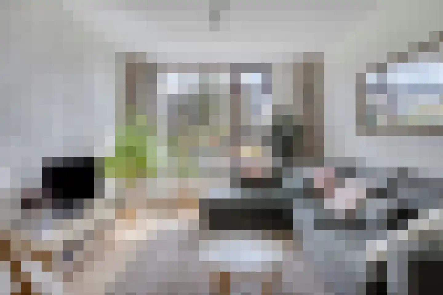 Elzenstraat 33 Brakel thumbnail 7