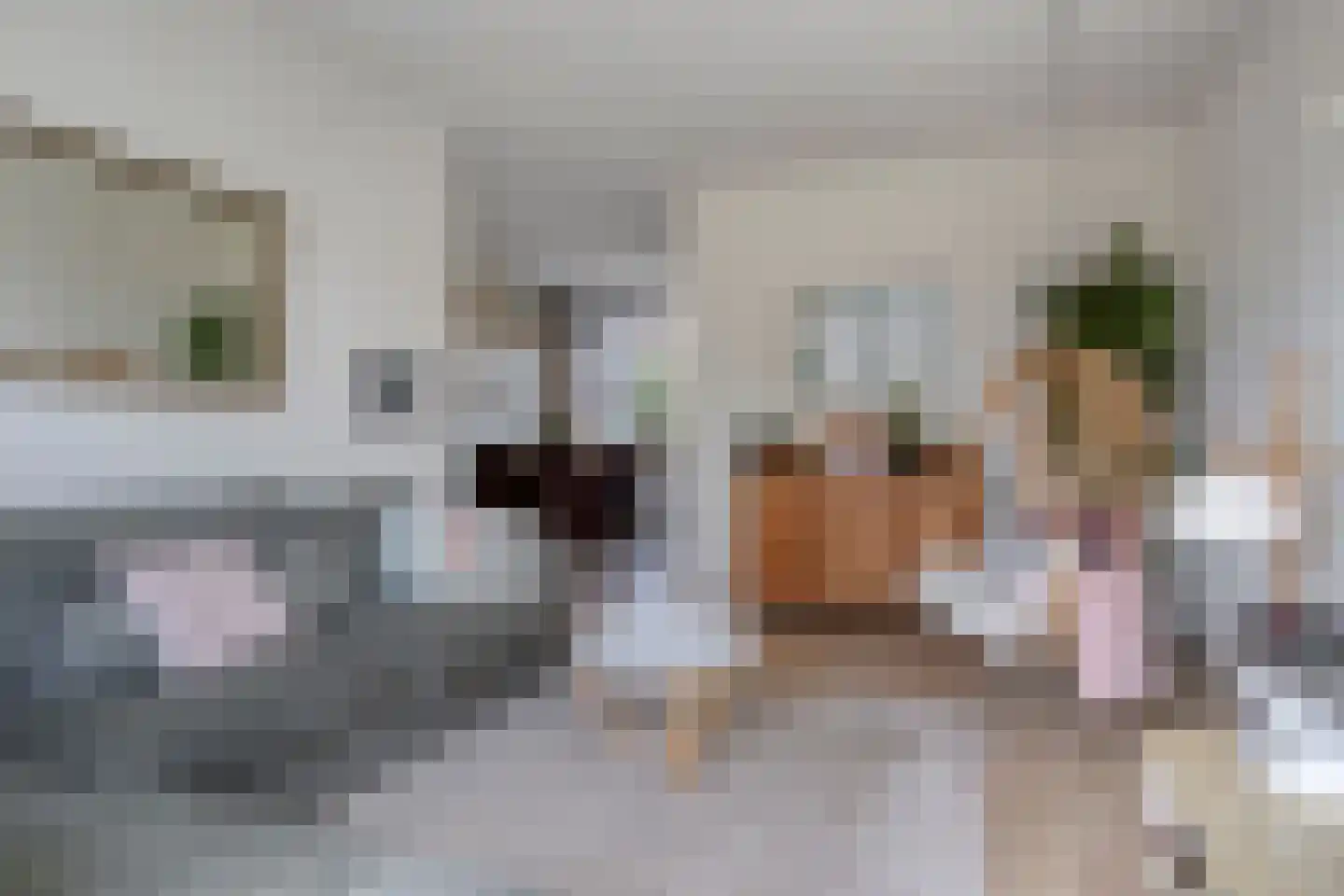 Elzenstraat 33 Brakel thumbnail 8
