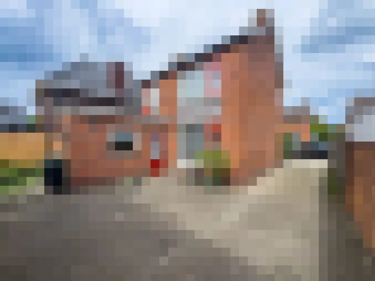 Elzenstraat 33 Zundert thumbnail 19