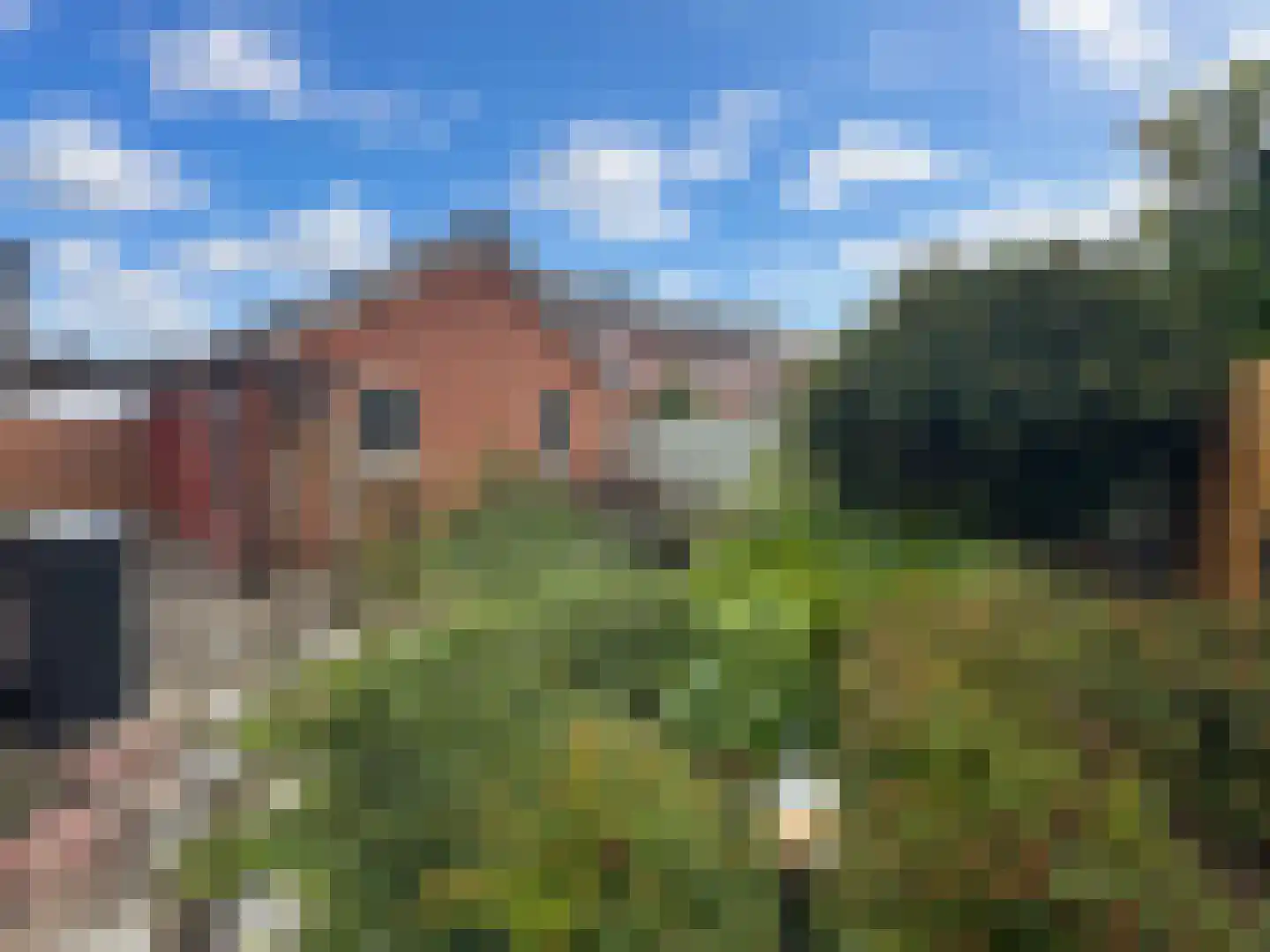 Elzenstraat 33 Zundert thumbnail 20