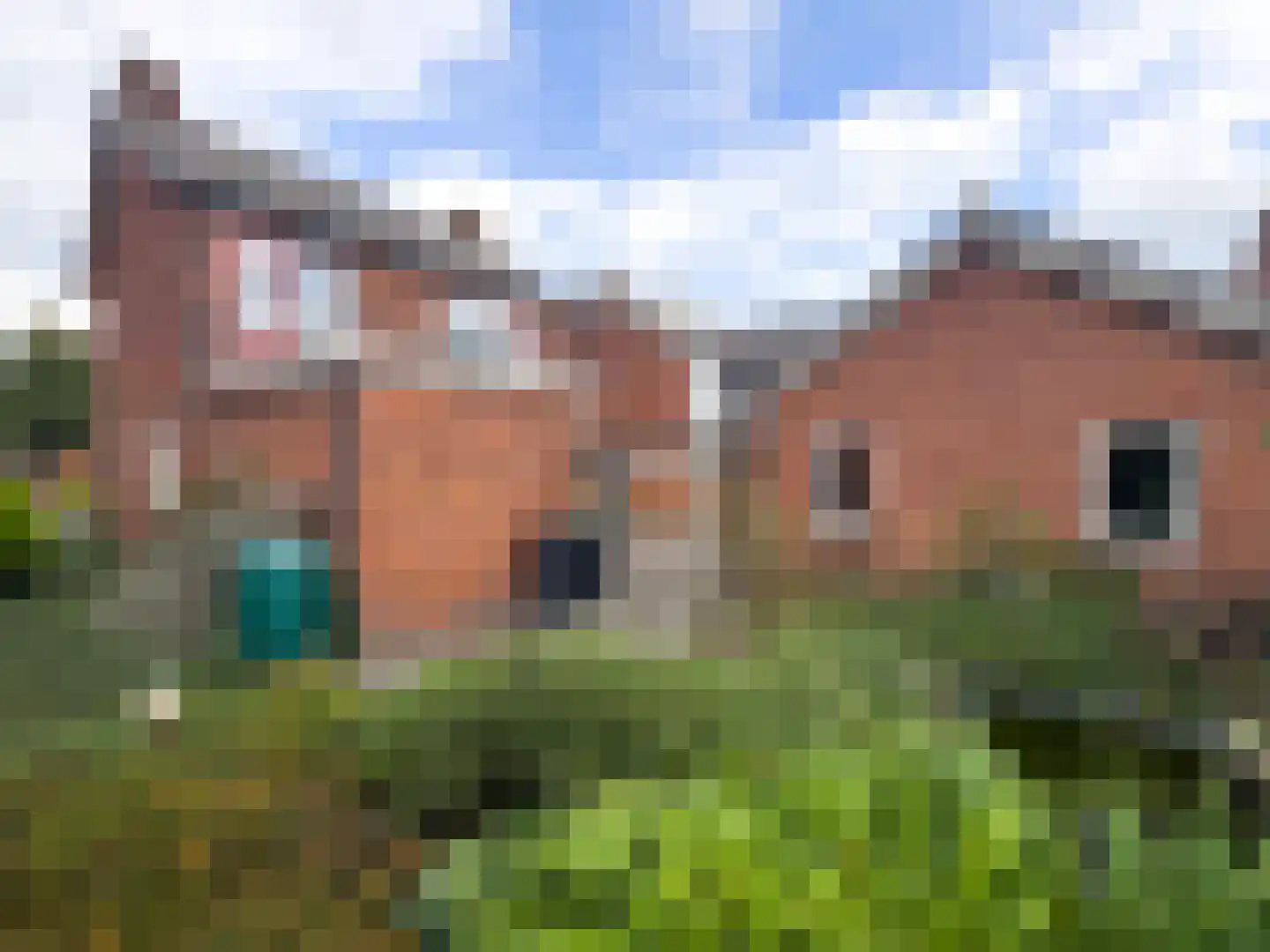 Elzenstraat 33 Zundert thumbnail 21