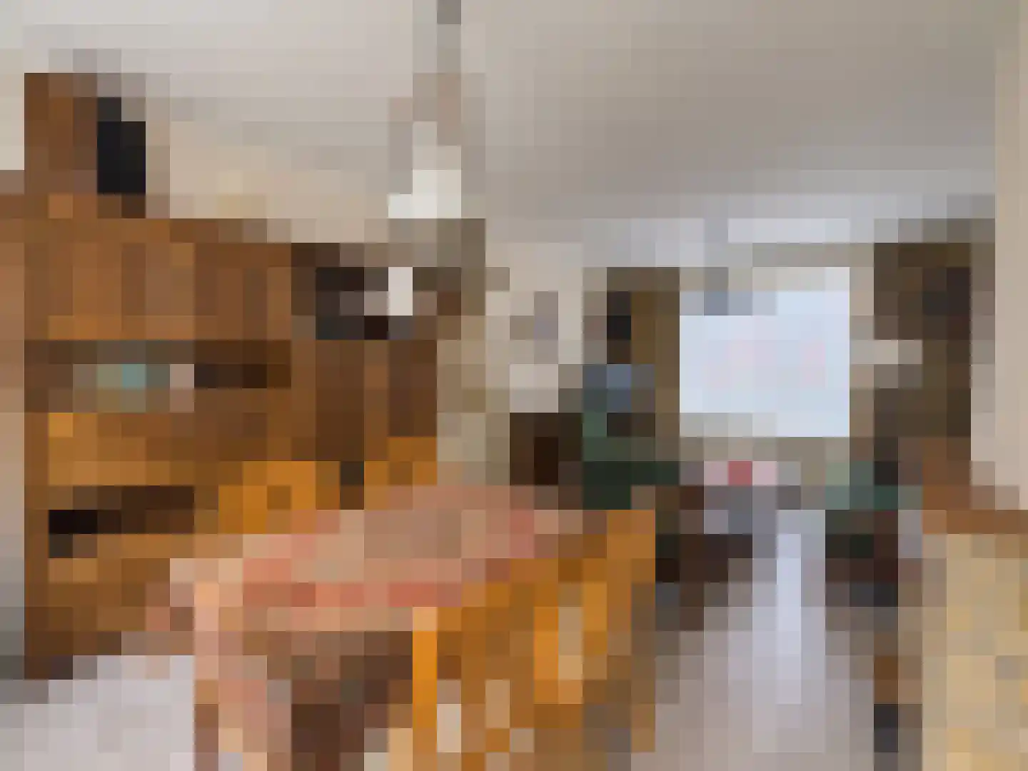 Elzenstraat 33 Zundert thumbnail 7