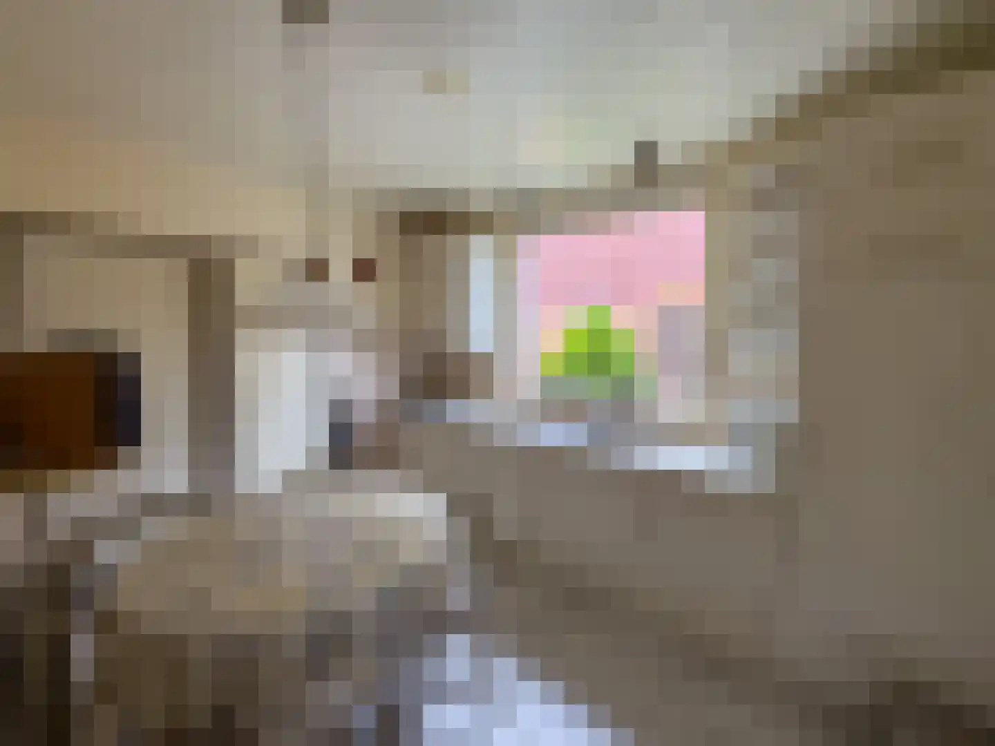 Elzenstraat 33 Zundert thumbnail 8