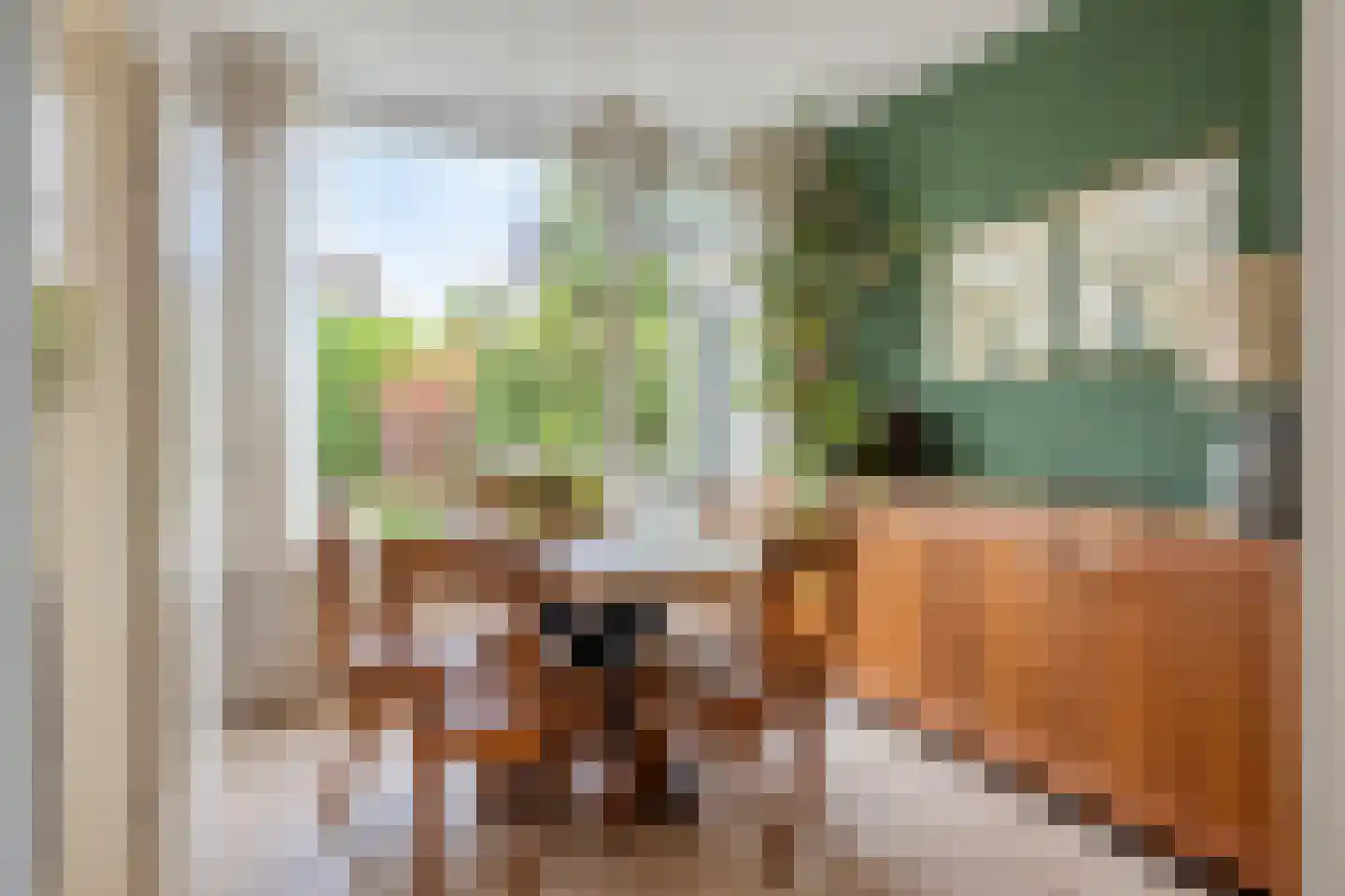 Elzenstraat 35 Brakel thumbnail 10