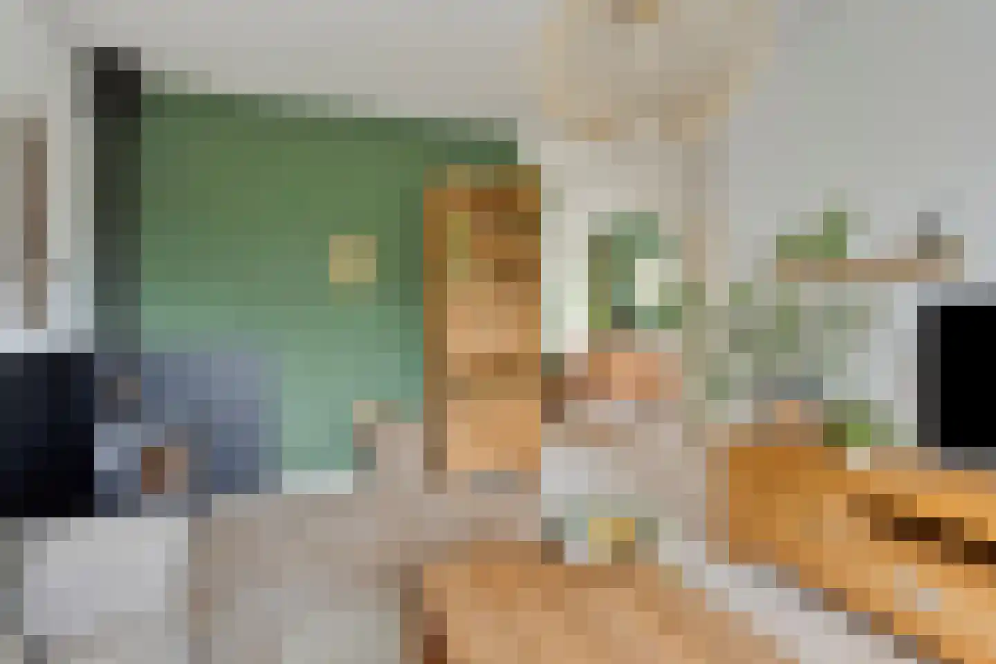 Elzenstraat 35 Brakel thumbnail 12
