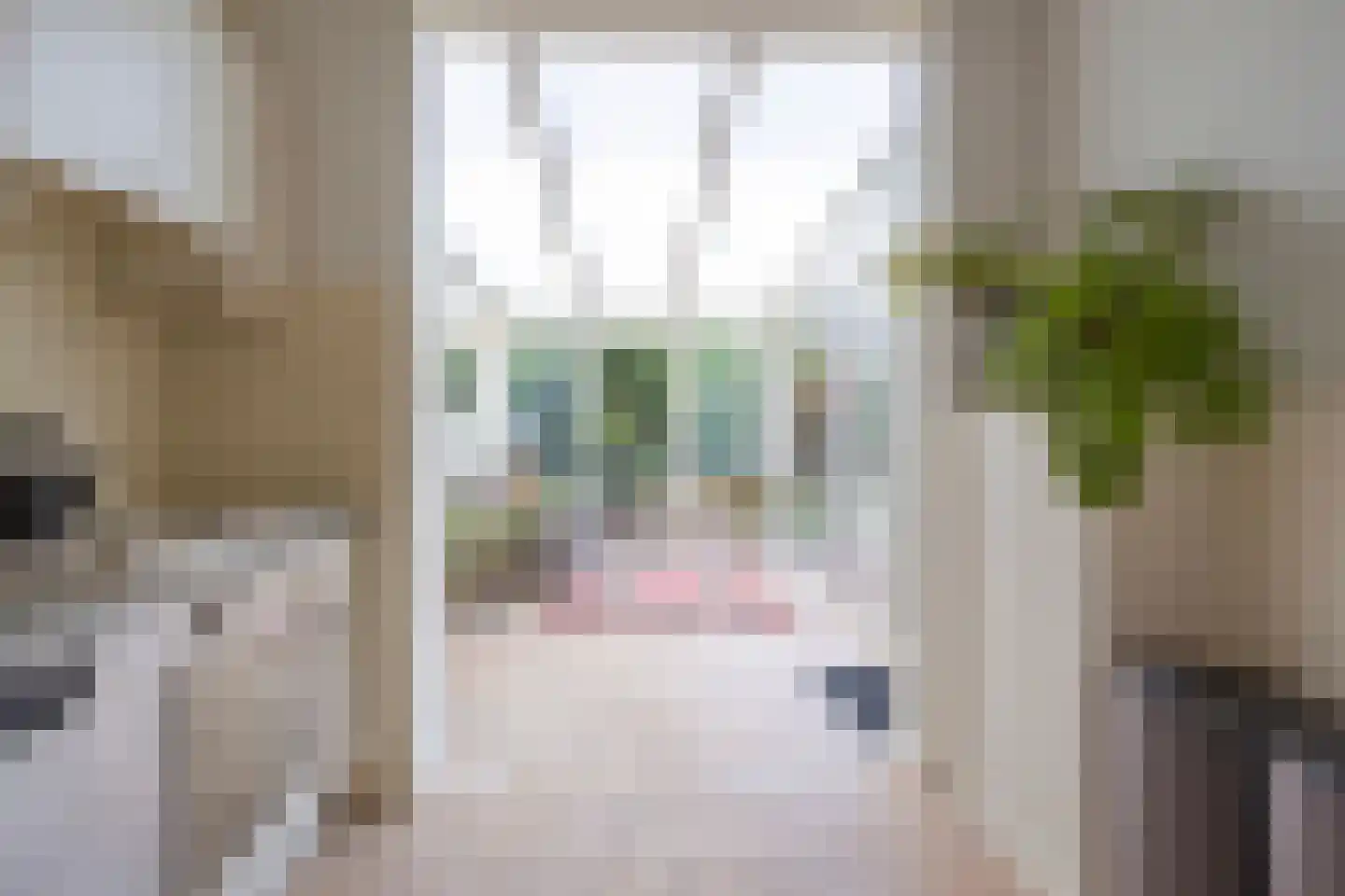 Elzenstraat 35 Brakel thumbnail 16