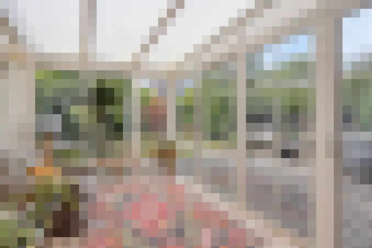 Elzenstraat 35 Brakel thumbnail 17