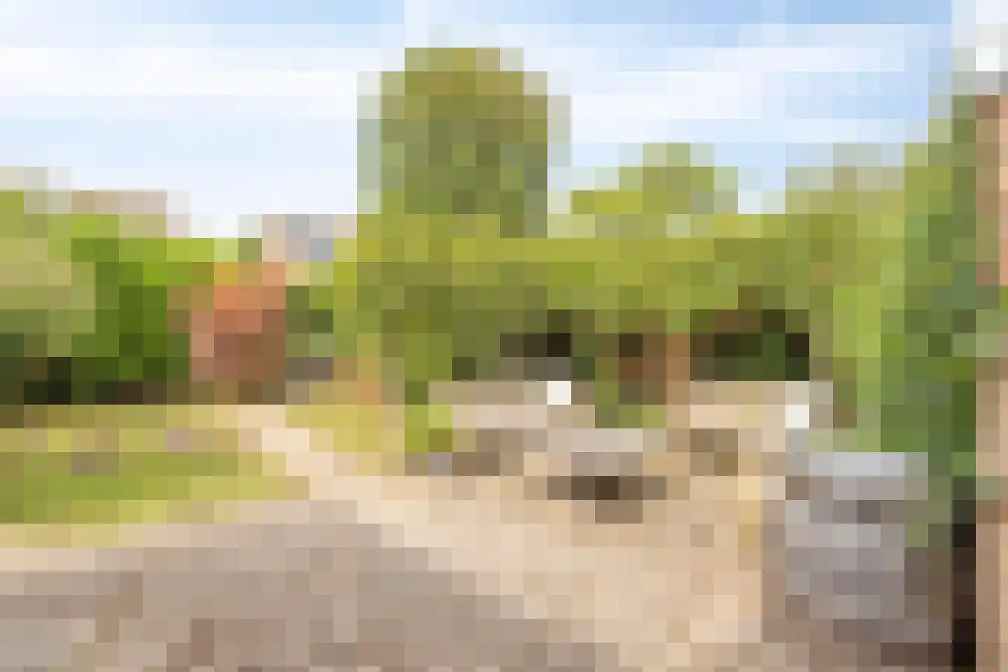 Elzenstraat 35 Brakel thumbnail 29