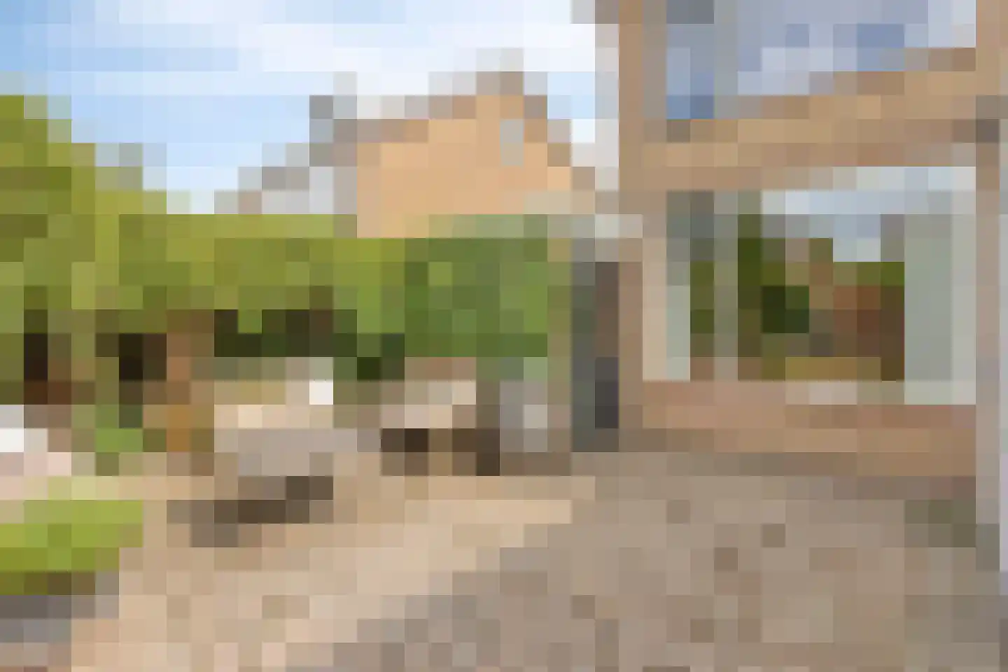 Elzenstraat 35 Brakel thumbnail 33