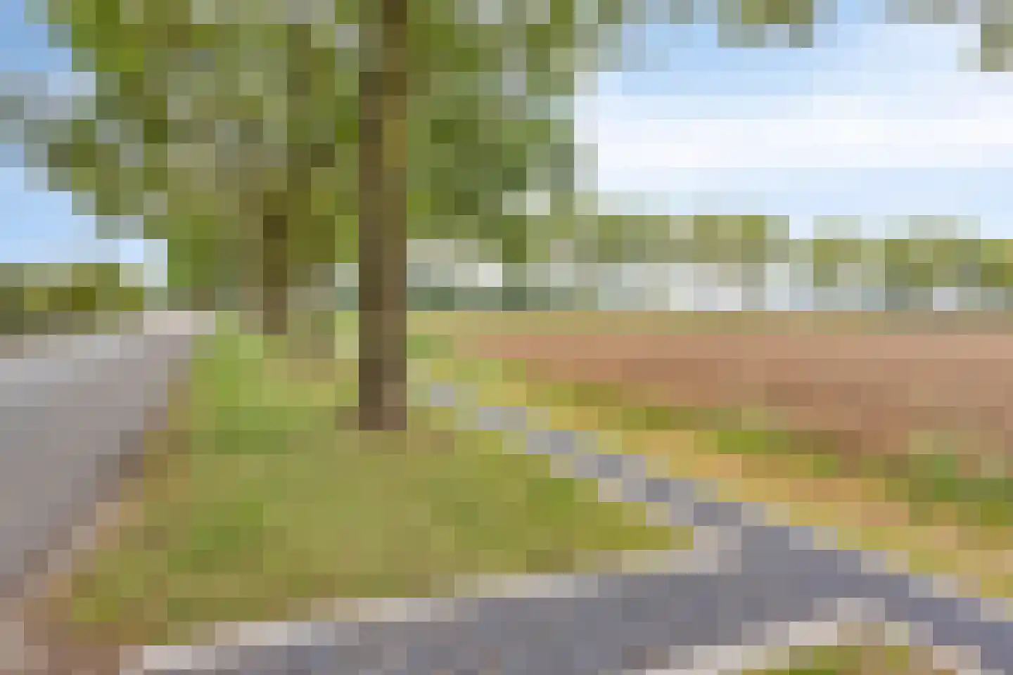 Elzenstraat 35 Brakel thumbnail 34