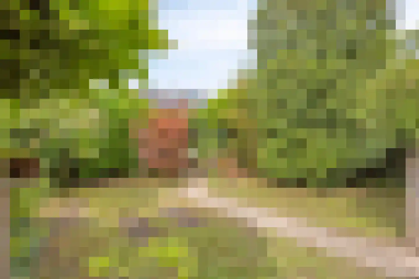 Elzenstraat 35 Brakel thumbnail 35