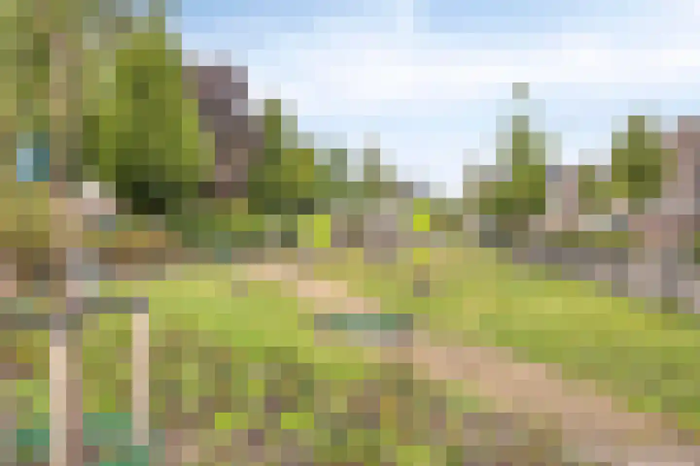 Elzenstraat 35 Brakel thumbnail 36