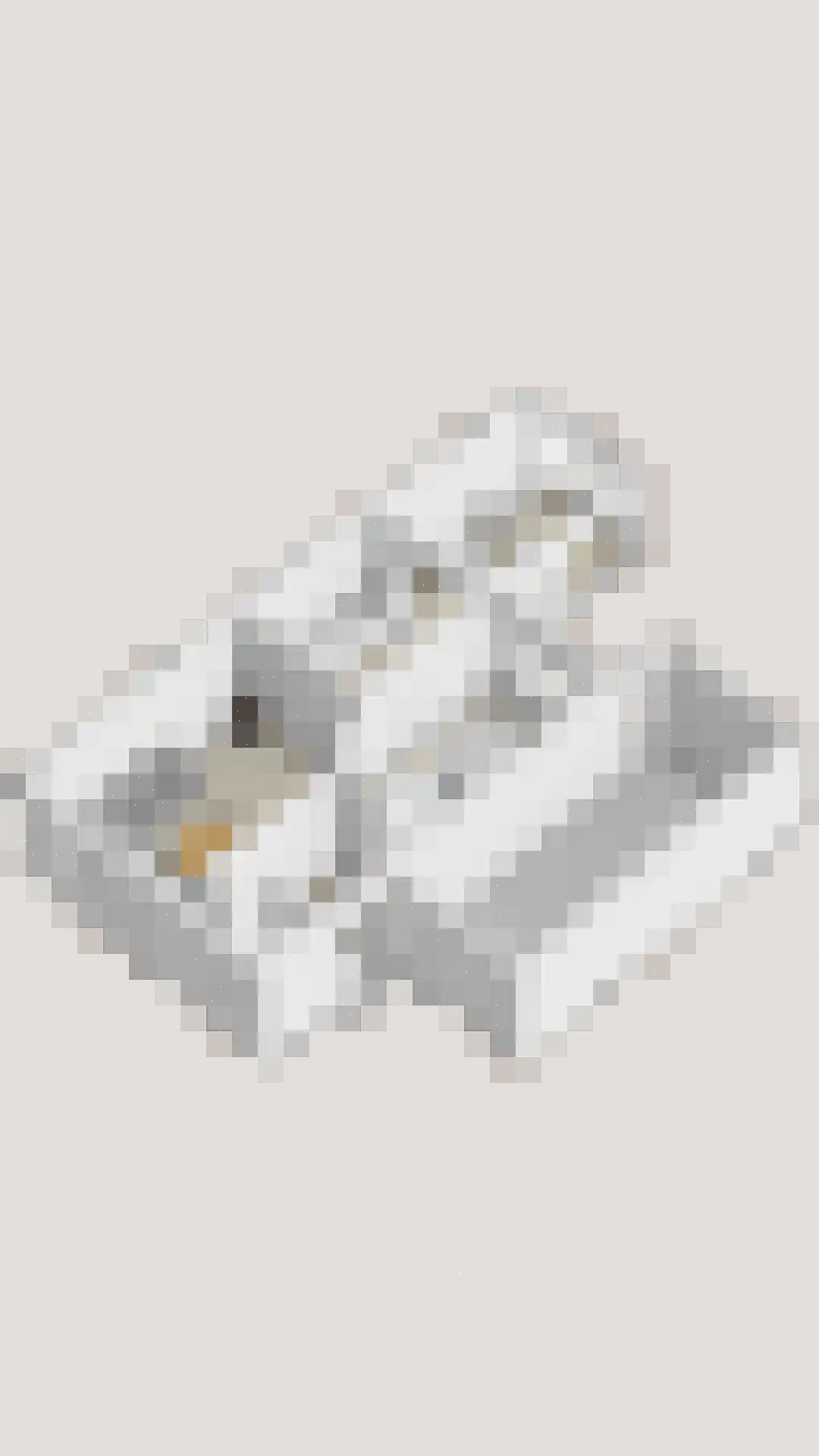 Elzenstraat 35 Brakel thumbnail 38