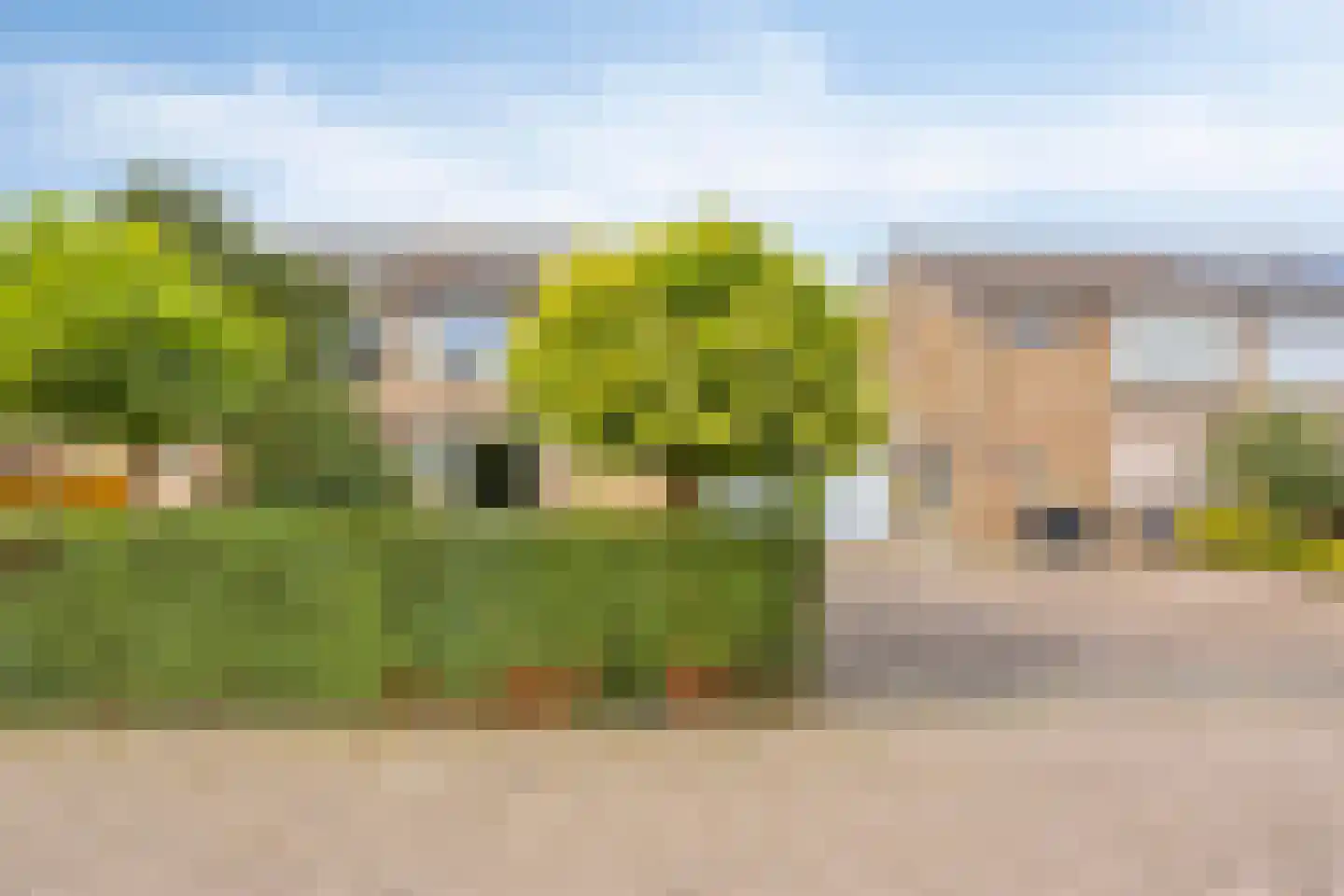 Elzenstraat 35 Brakel thumbnail 4