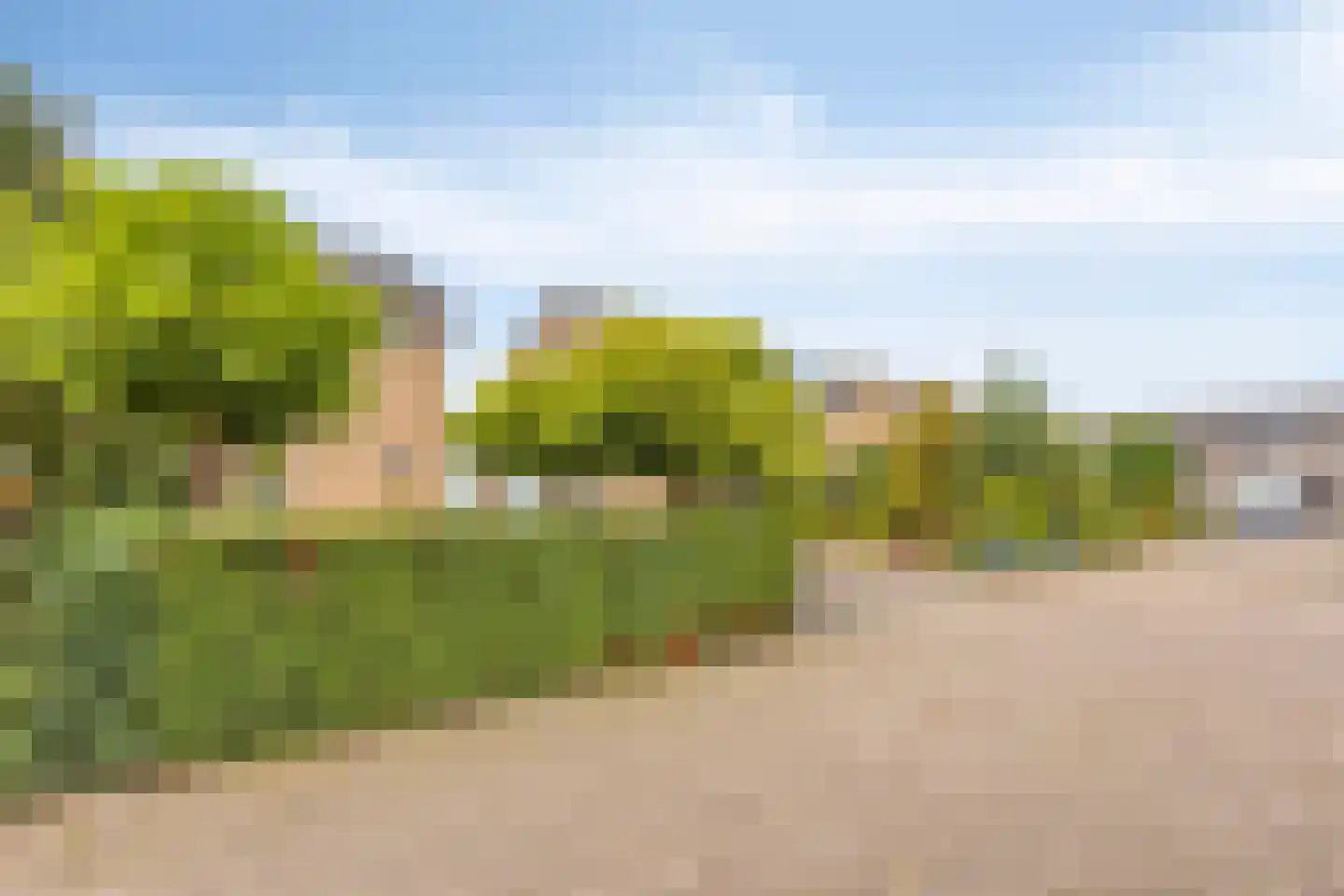 Elzenstraat 35 Brakel thumbnail 5