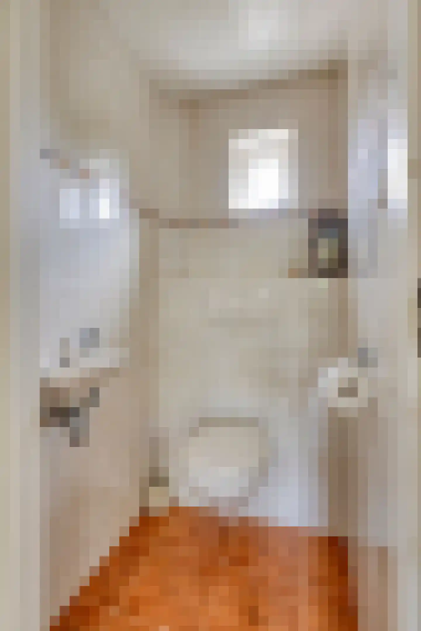 Elzenstraat 35 Brakel thumbnail 7