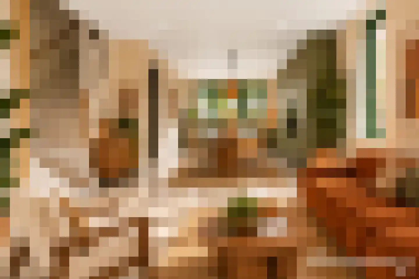 Elzenstraat 4 E Nijmegen thumbnail 10