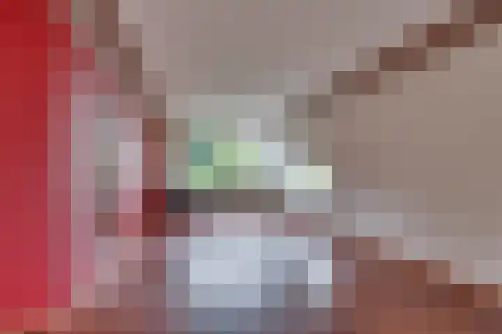 Elzenstraat 4 Kampen thumbnail 12