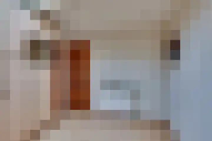 Elzenstraat 4 Kampen thumbnail 19