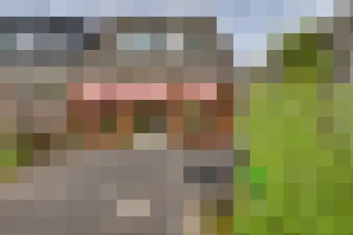 Elzenstraat 4 Kampen thumbnail 23