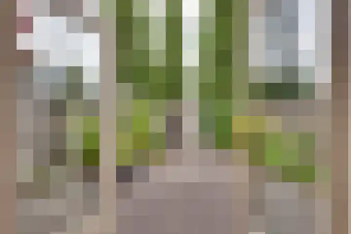 Elzenstraat 4 Kampen thumbnail 24