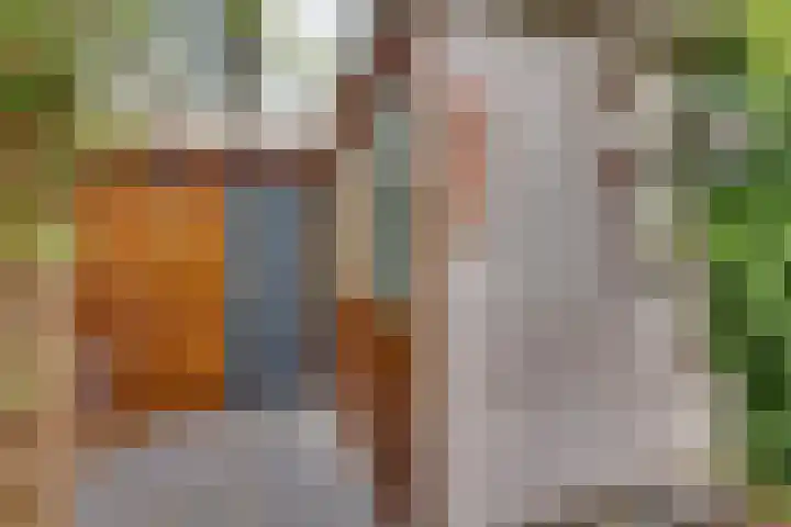 Elzenstraat 4 Kampen thumbnail 27