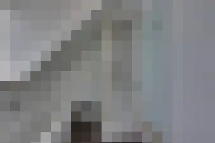 Elzenstraat 4 Kampen thumbnail 37