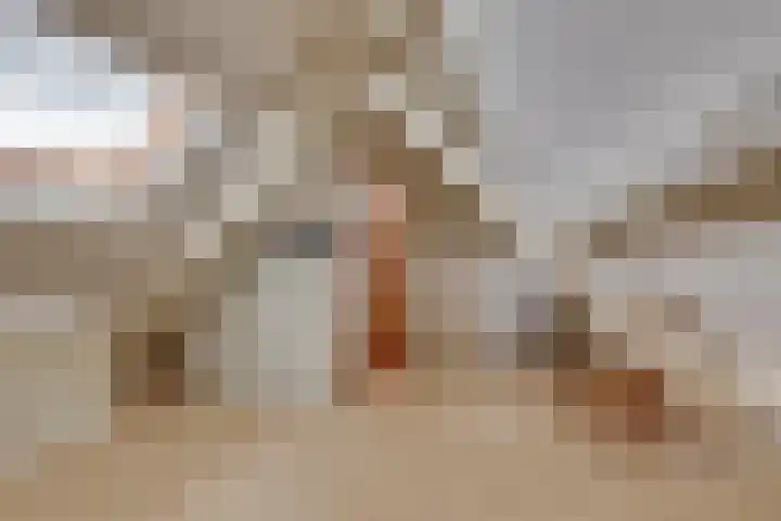 Elzenstraat 4 Kampen thumbnail 41