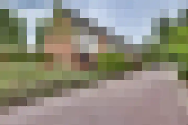 Elzenstraat 4 Kampen thumbnail 42