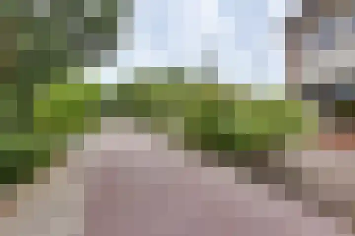 Elzenstraat 4 Kampen thumbnail 43