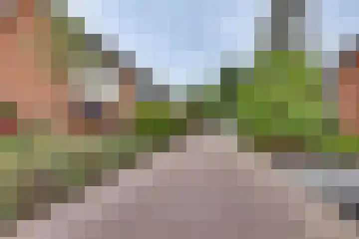 Elzenstraat 4 Kampen thumbnail 44