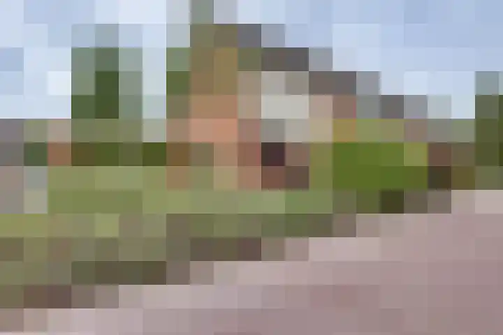 Elzenstraat 4 Kampen thumbnail 47