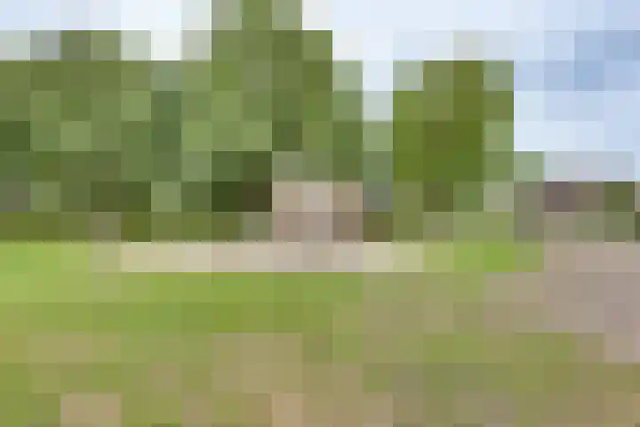 Elzenstraat 4 Kampen thumbnail 48