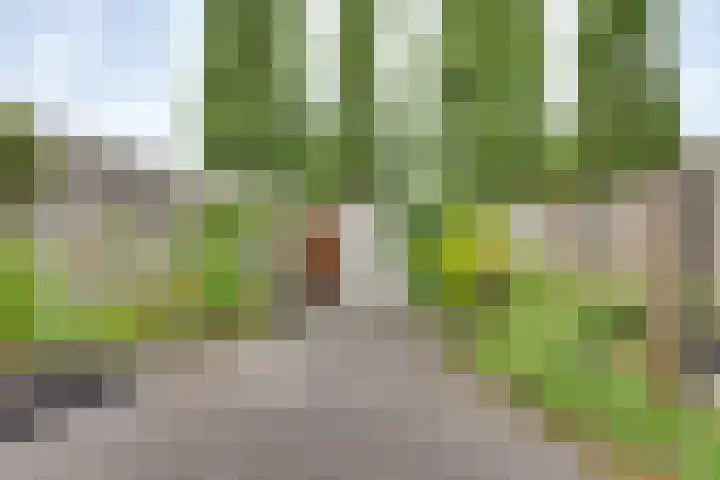 Elzenstraat 4 Kampen thumbnail 6