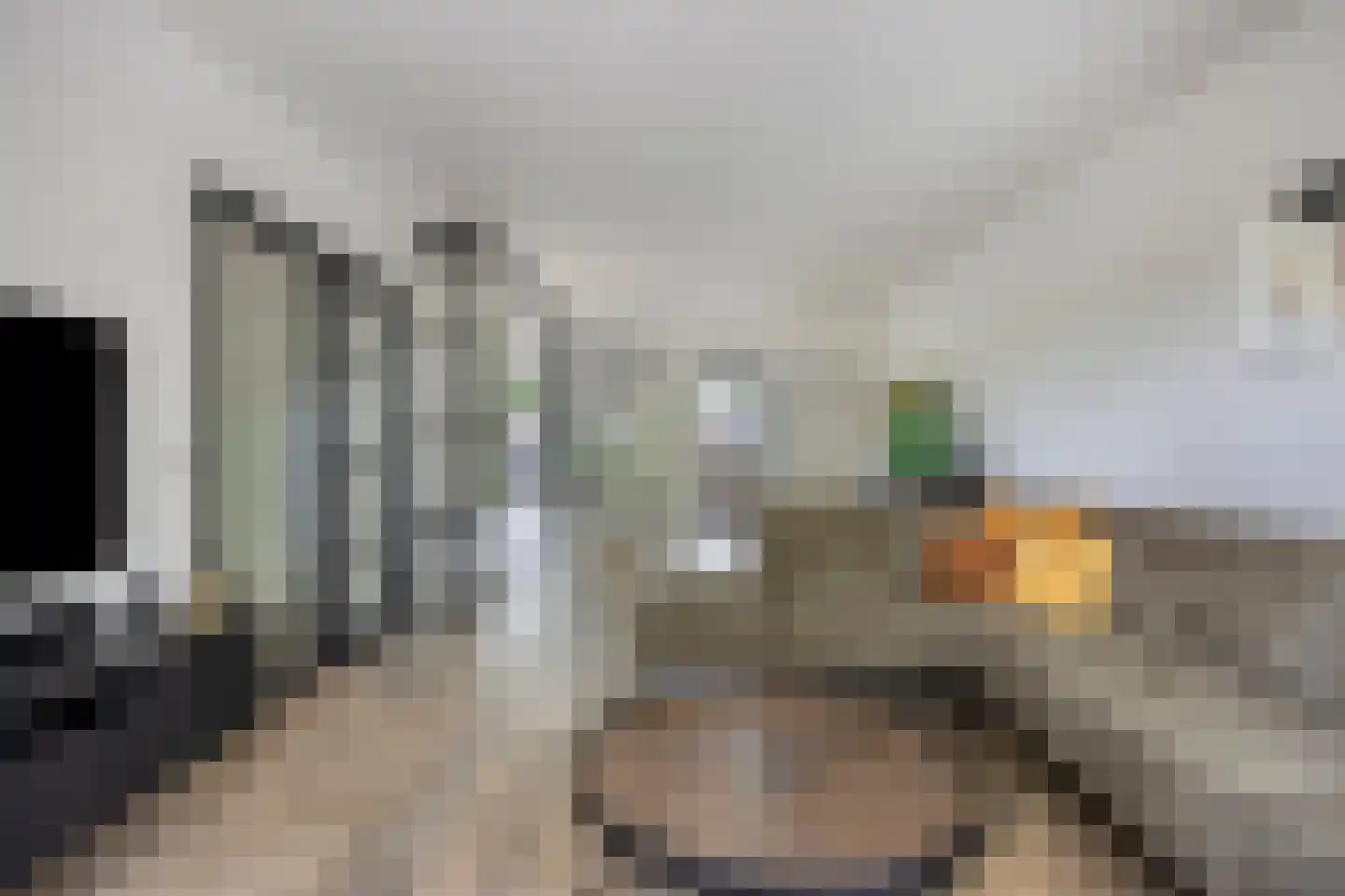 Elzenstraat 4 Uden thumbnail 13