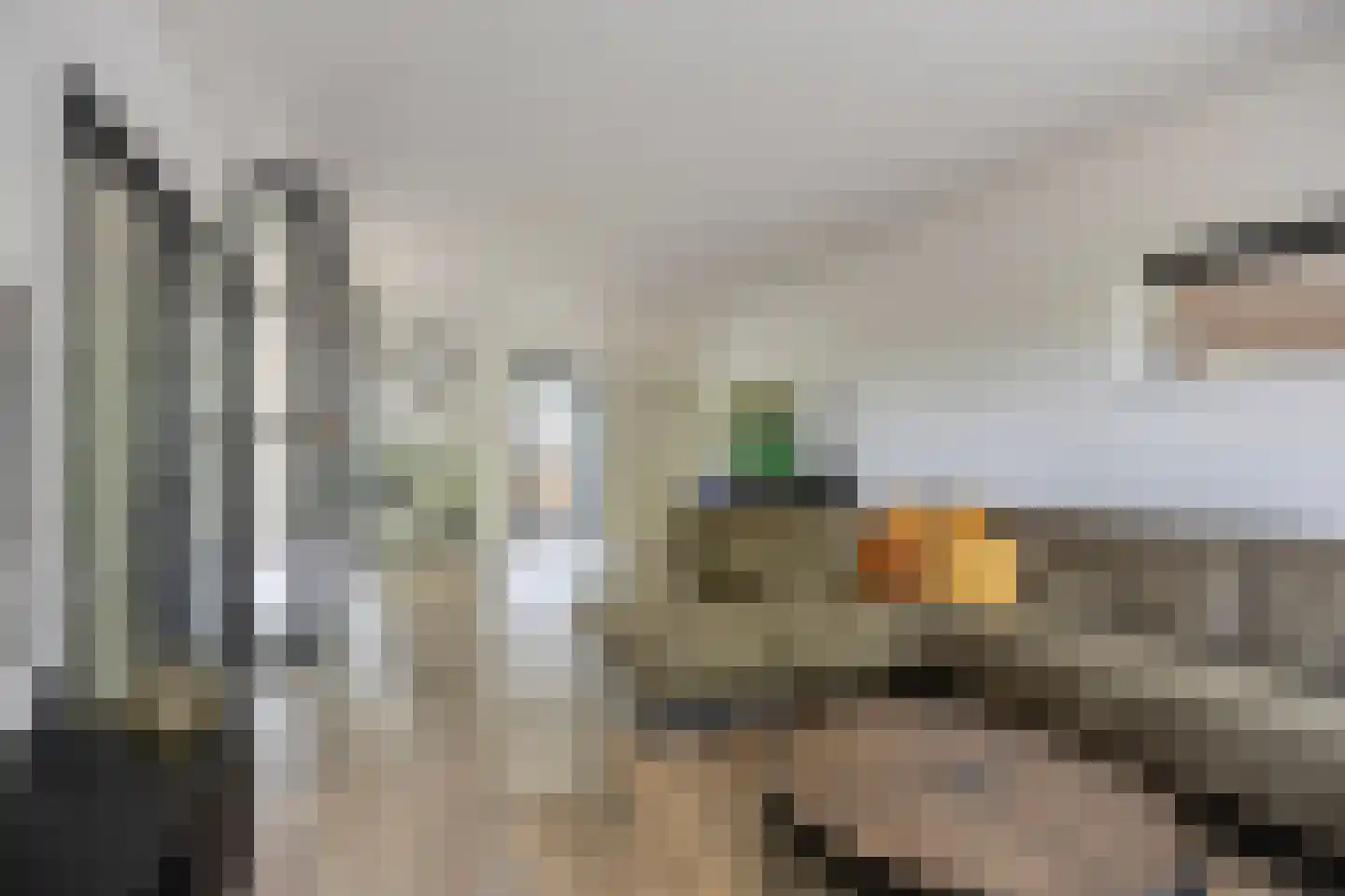 Elzenstraat 4 Uden thumbnail 14
