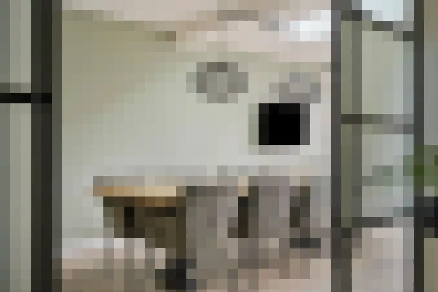 Elzenstraat 4 Uden thumbnail 18