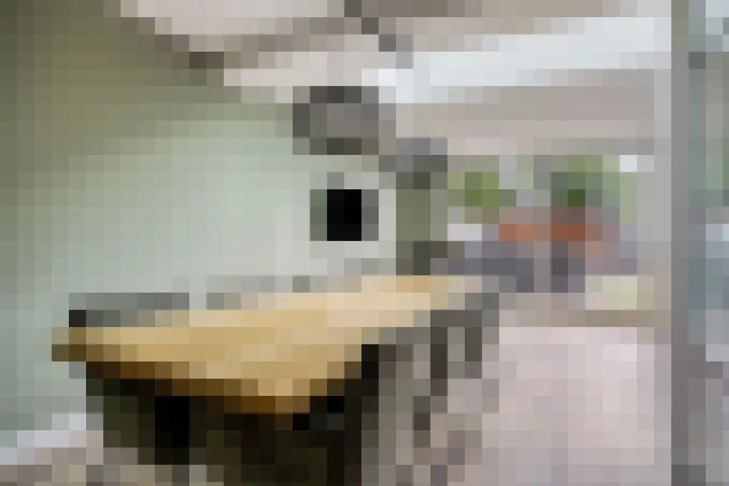 Elzenstraat 4 Uden thumbnail 20