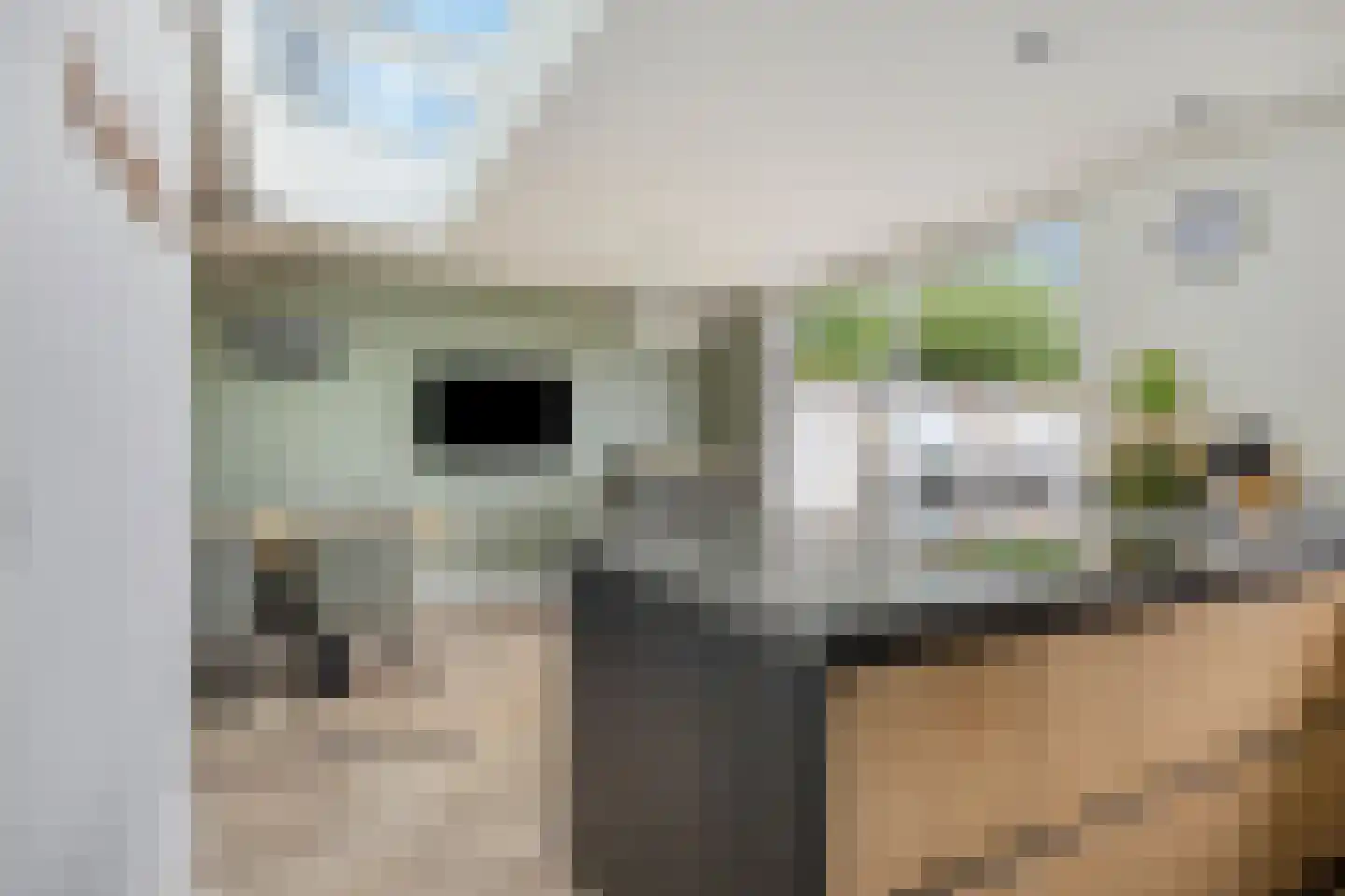 Elzenstraat 4 Uden thumbnail 30
